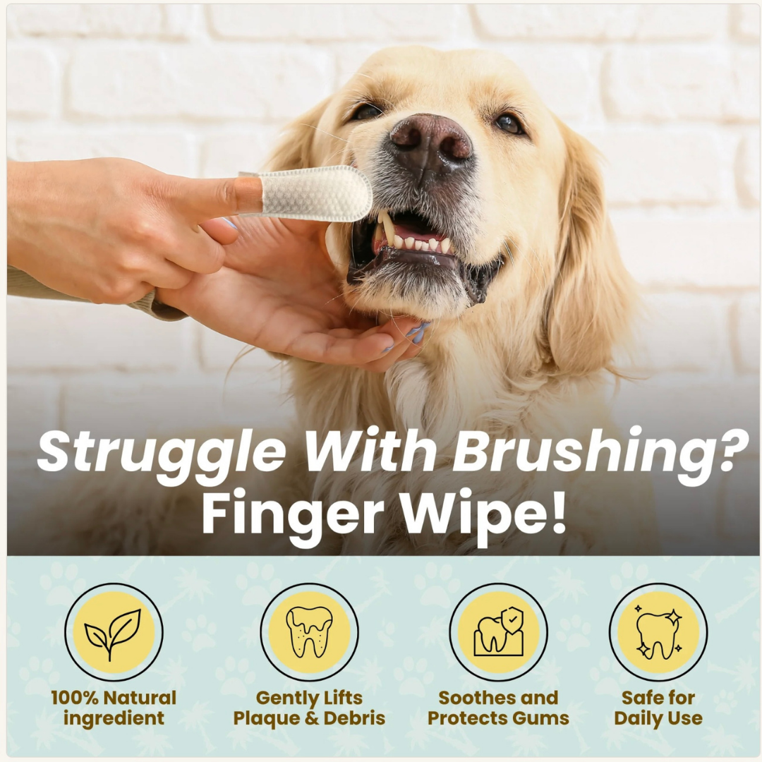 Dog Dental Wipes product image 2