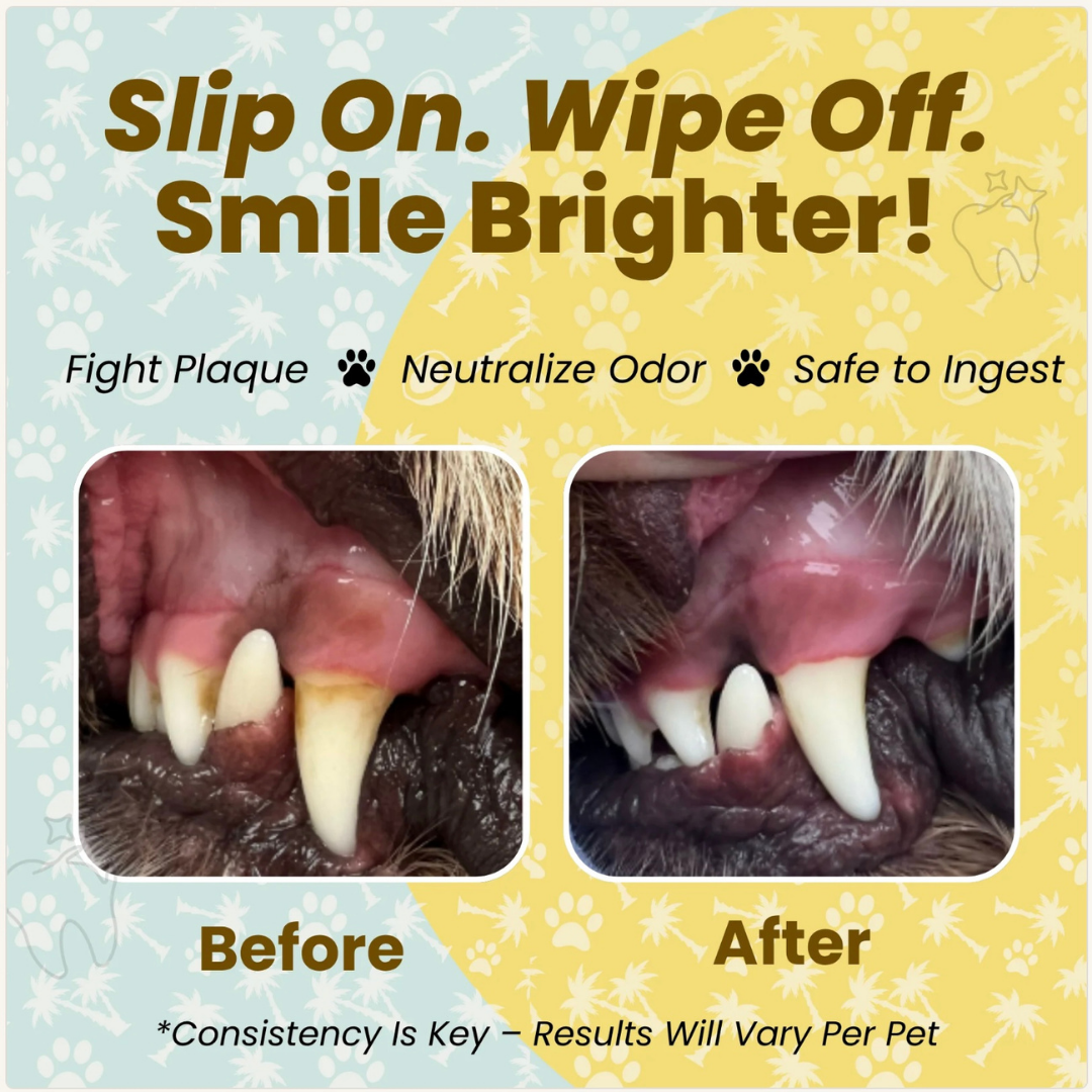 Dog Dental Wipes product image 3