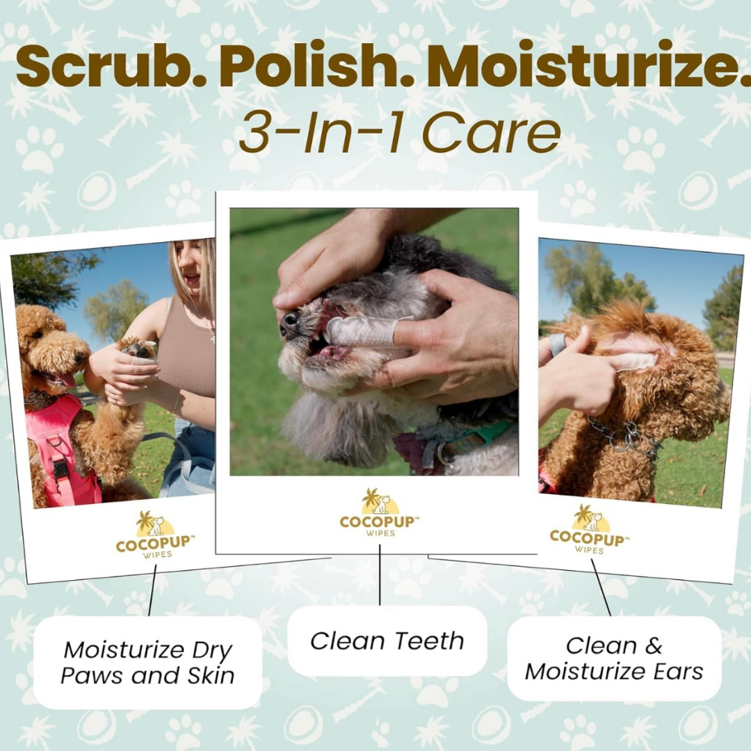 Dog Dental Wipes product image 4