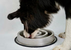Slow Feeder Bowl product image 3