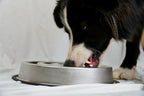Slow Feeder Bowl product image 5