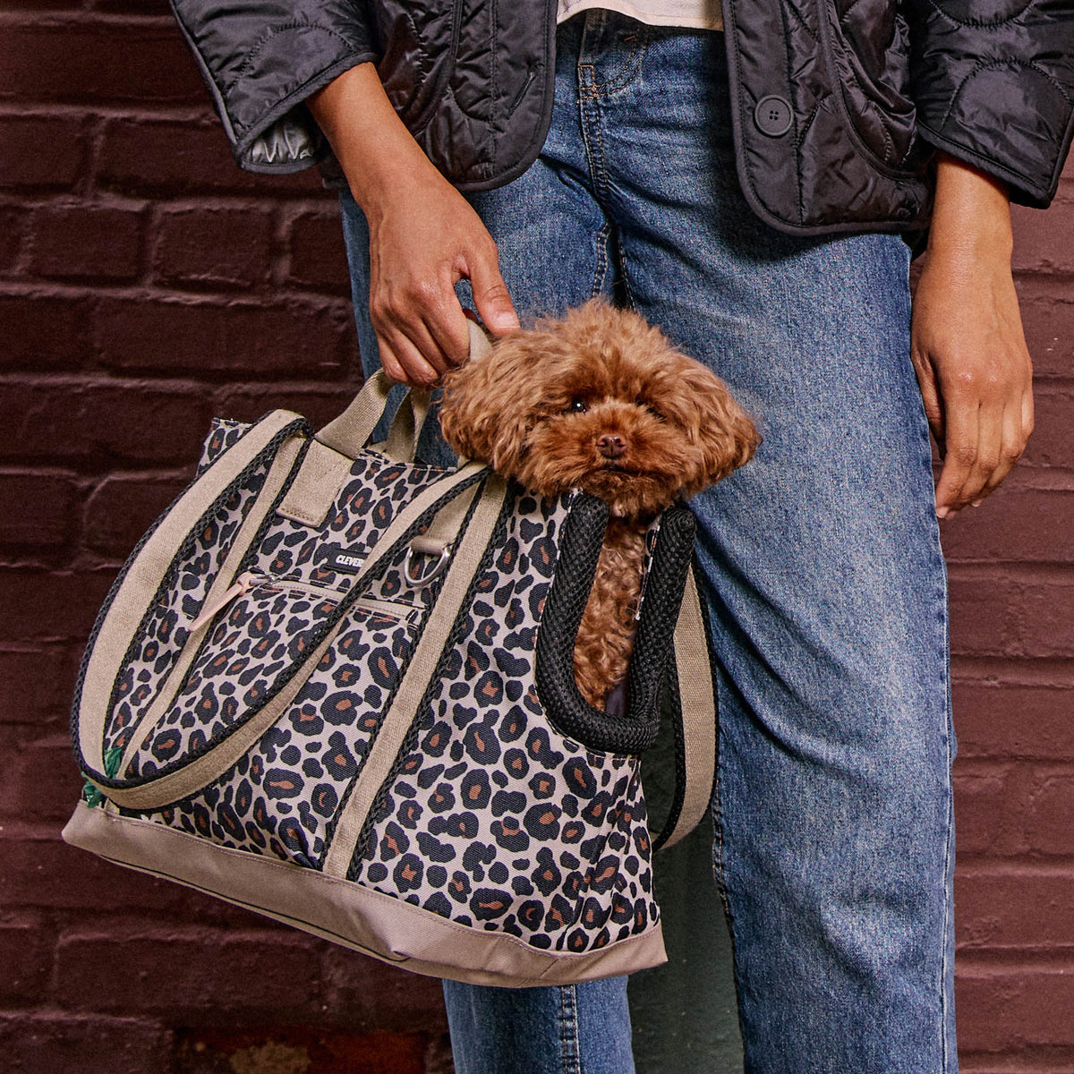 Dog Carrier Bundle product image 3