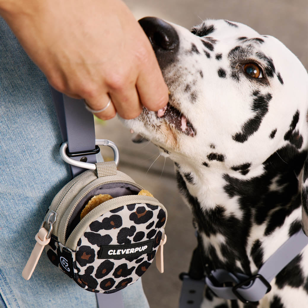 Dog Carrier Bundle product image 9