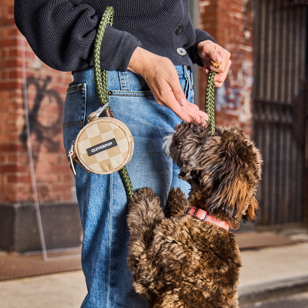Dog Carrier Bundle product image 18