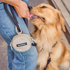 Dog Carrier Bundle product image 26