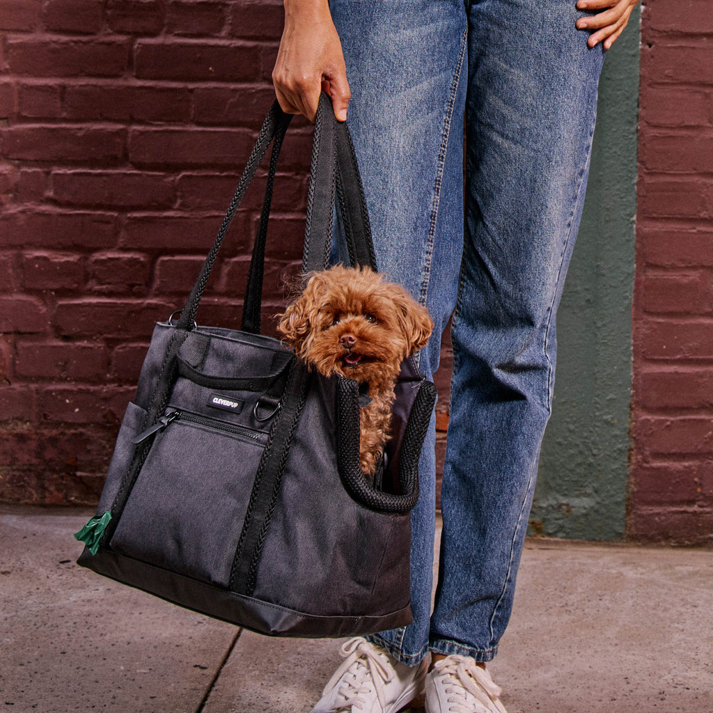 Dog Carrier Bundle product image 28