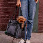 Dog Carrier Bundle product image 28