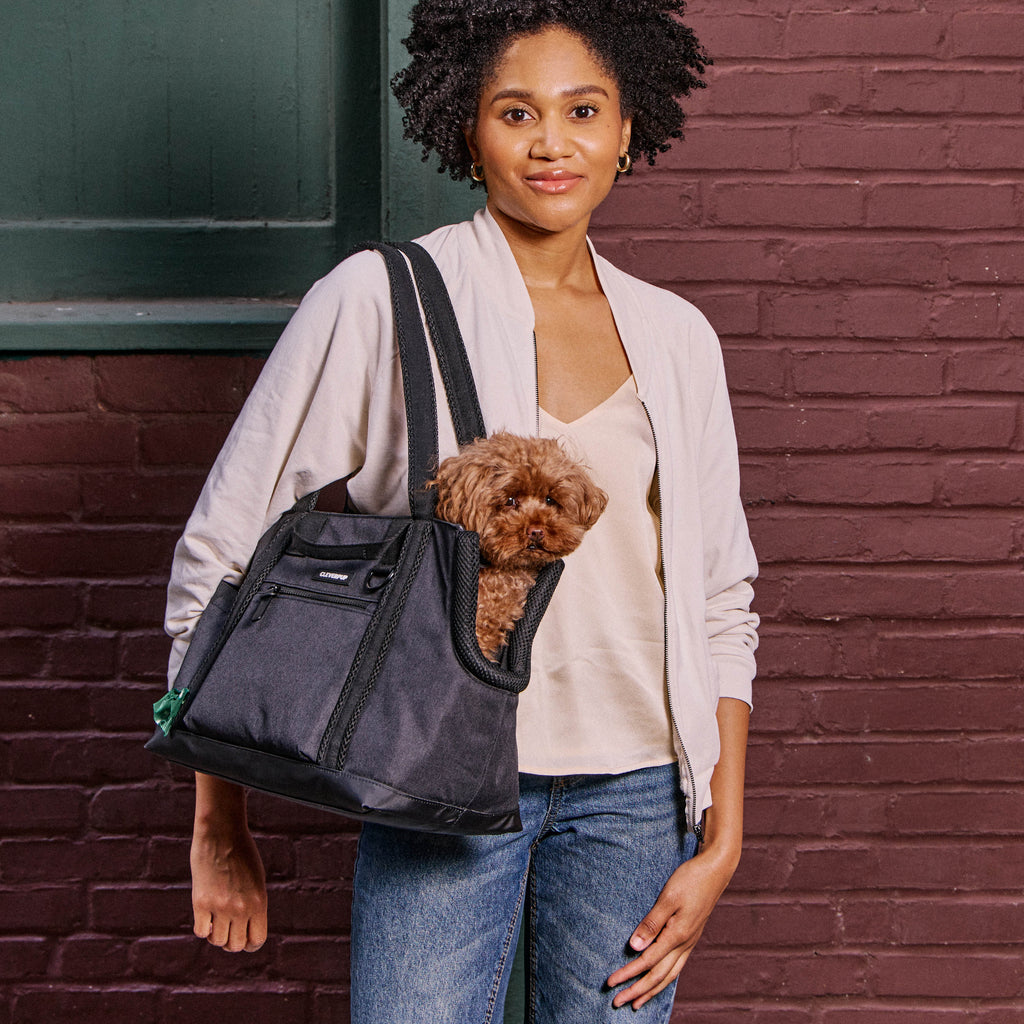 Dog Carrier Bundle product image 29