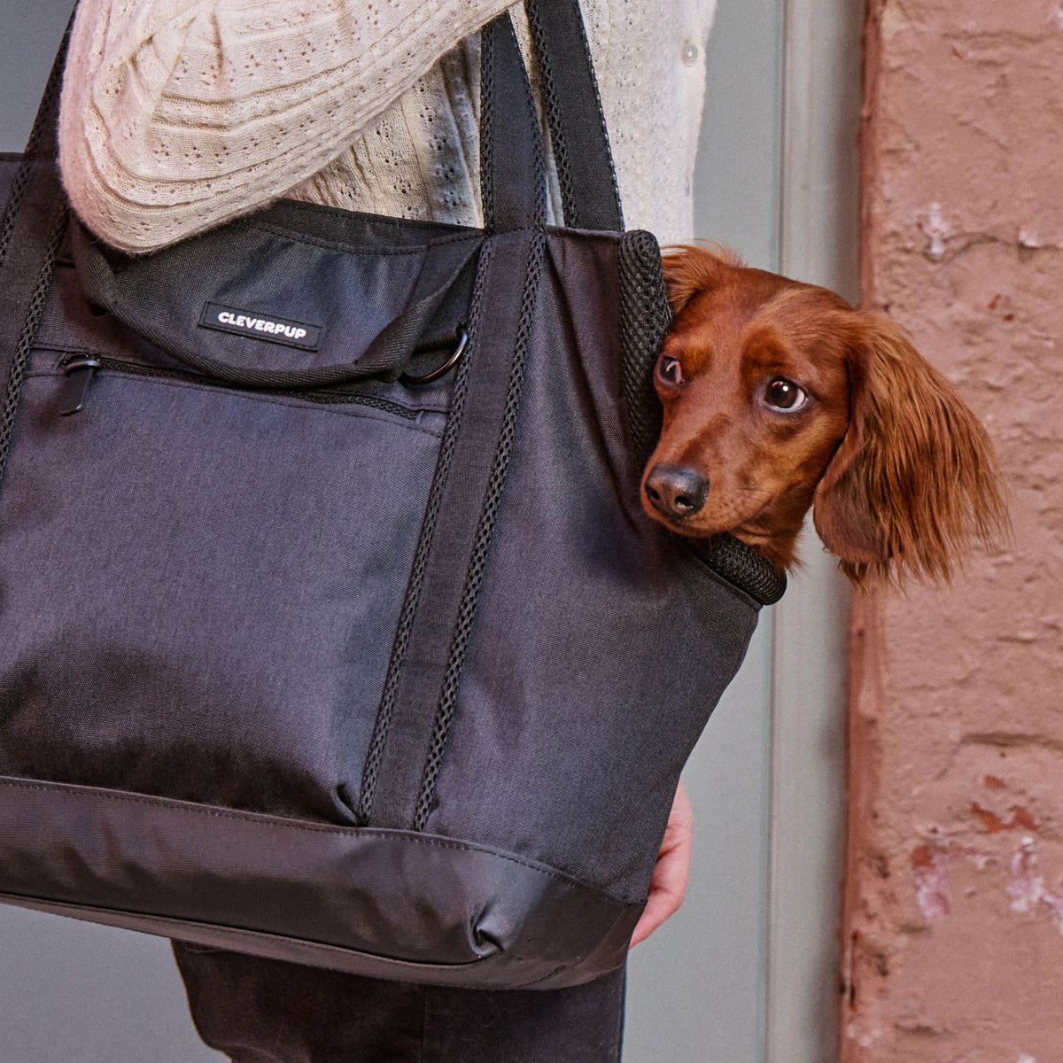 Dog Carrier Bundle product image 57