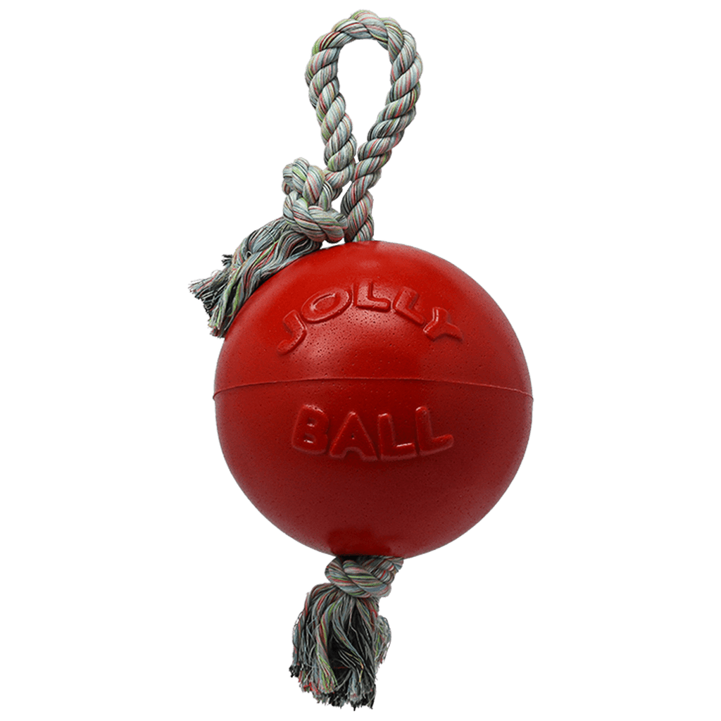 Dog Toy product image 1