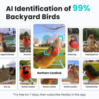 Smart Bird Feeder product image 3