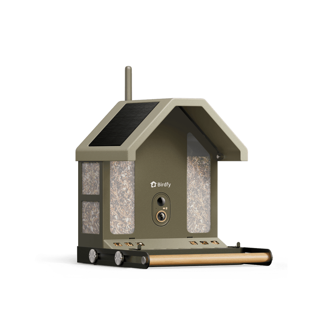 Smart Bird Feeder product image 1