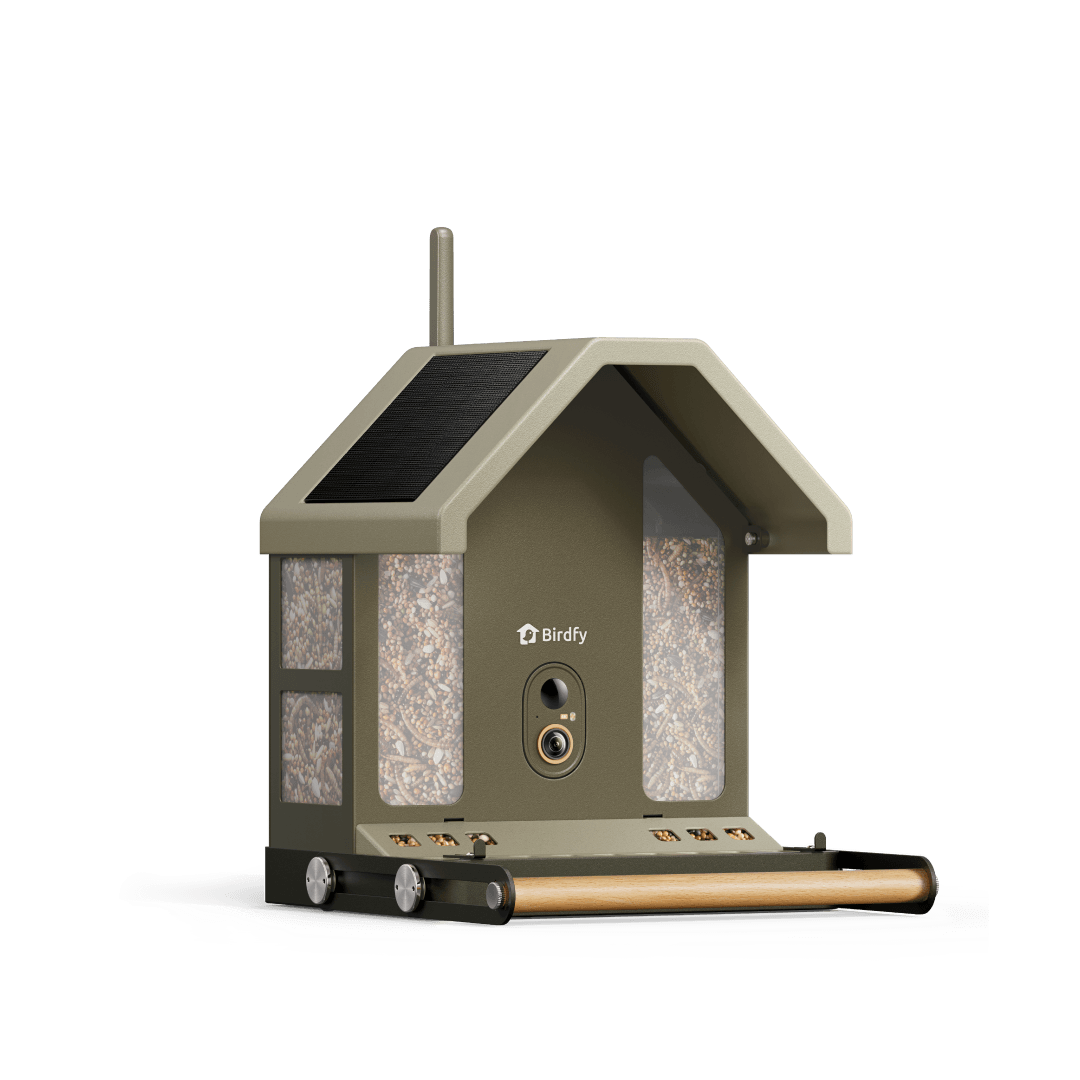 Smart Bird Feeder product image 1