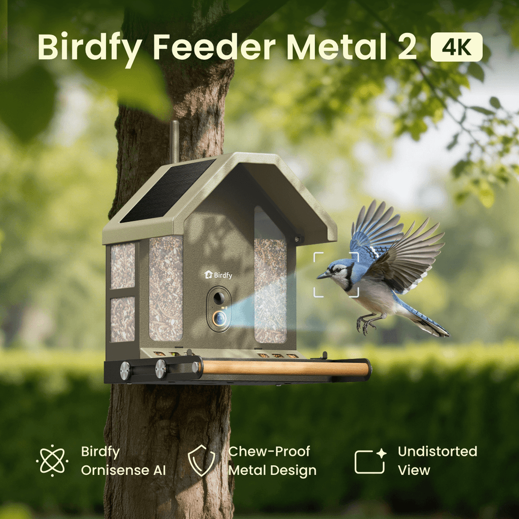 Smart Bird Feeder product image 3