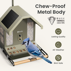 Smart Bird Feeder product image 4