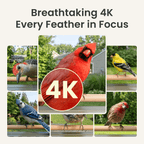 Smart Bird Feeder product image 5