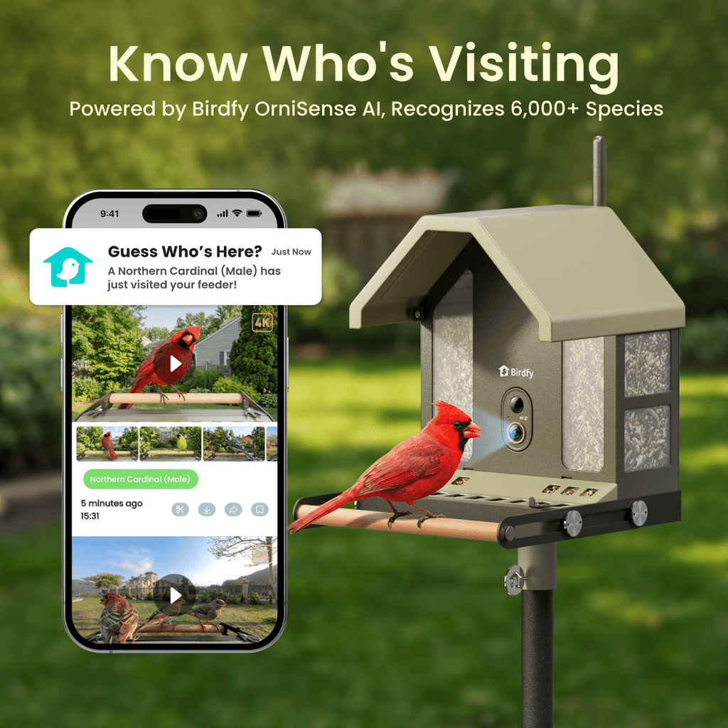 Smart Bird Feeder product image 7