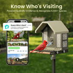 Smart Bird Feeder product image 7