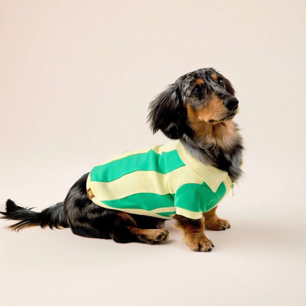 Dog Quarter-Zip Pullover product image 1