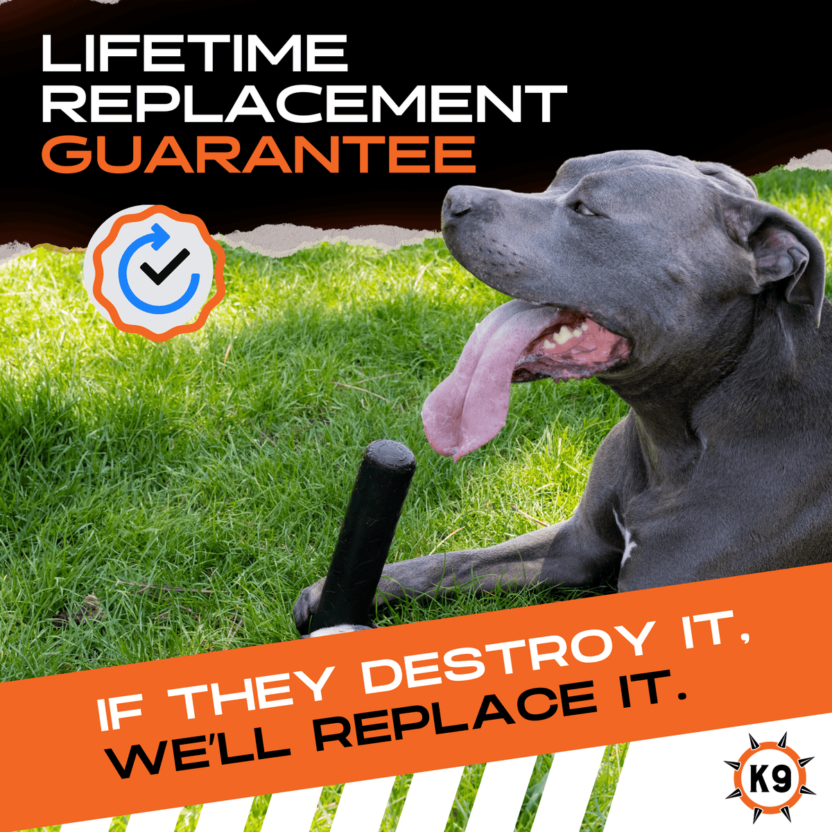 Dog Chew Toy product image 4