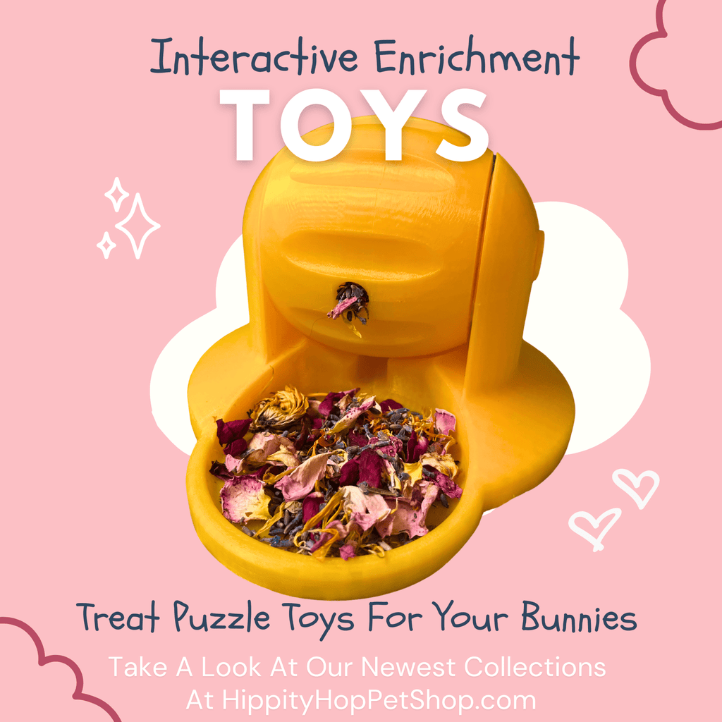 Rabbit Treat Toy product image 1