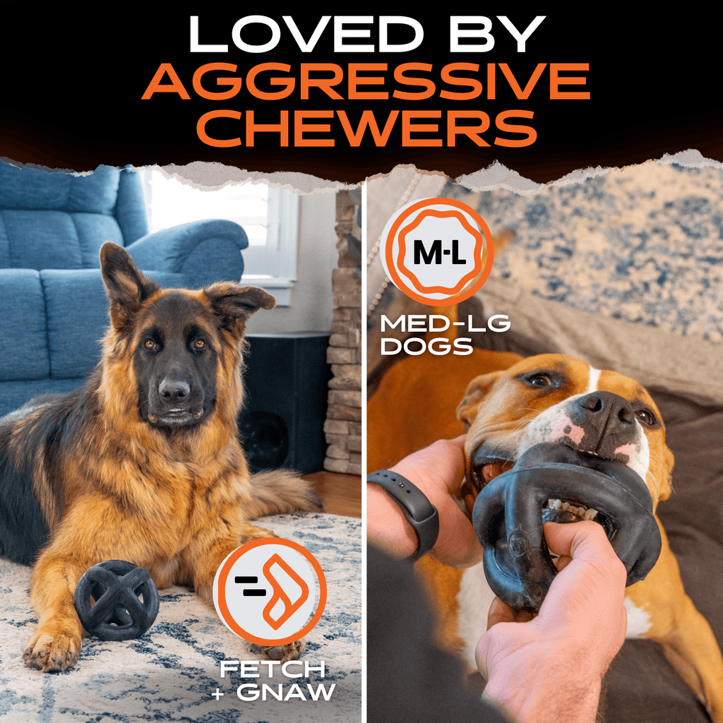 Dog Ring Toy product image 5