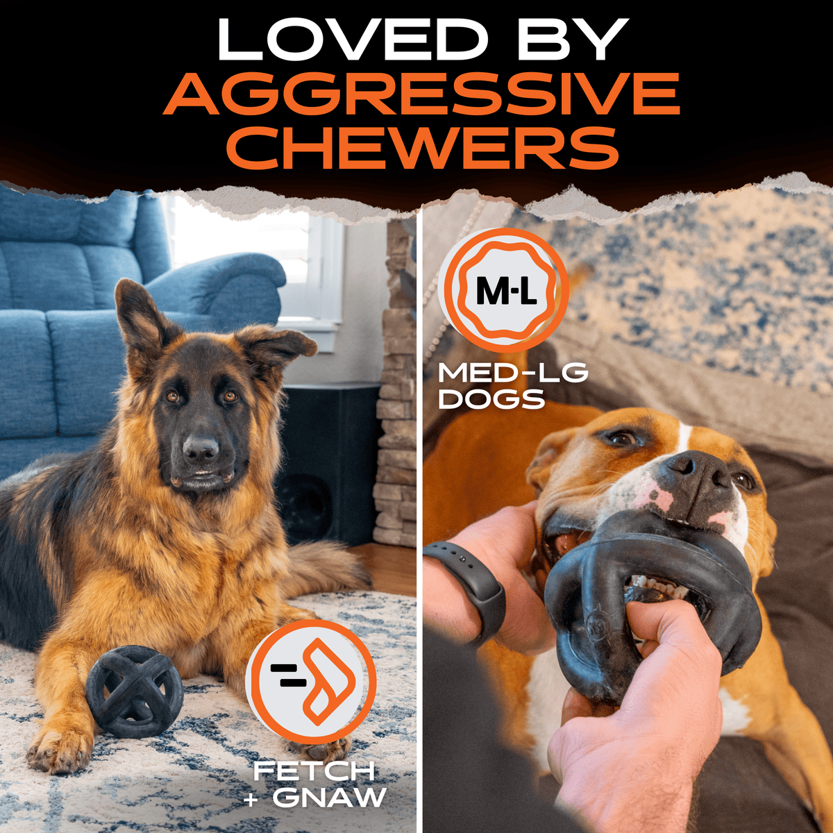 Dog Ring Toy product image 5
