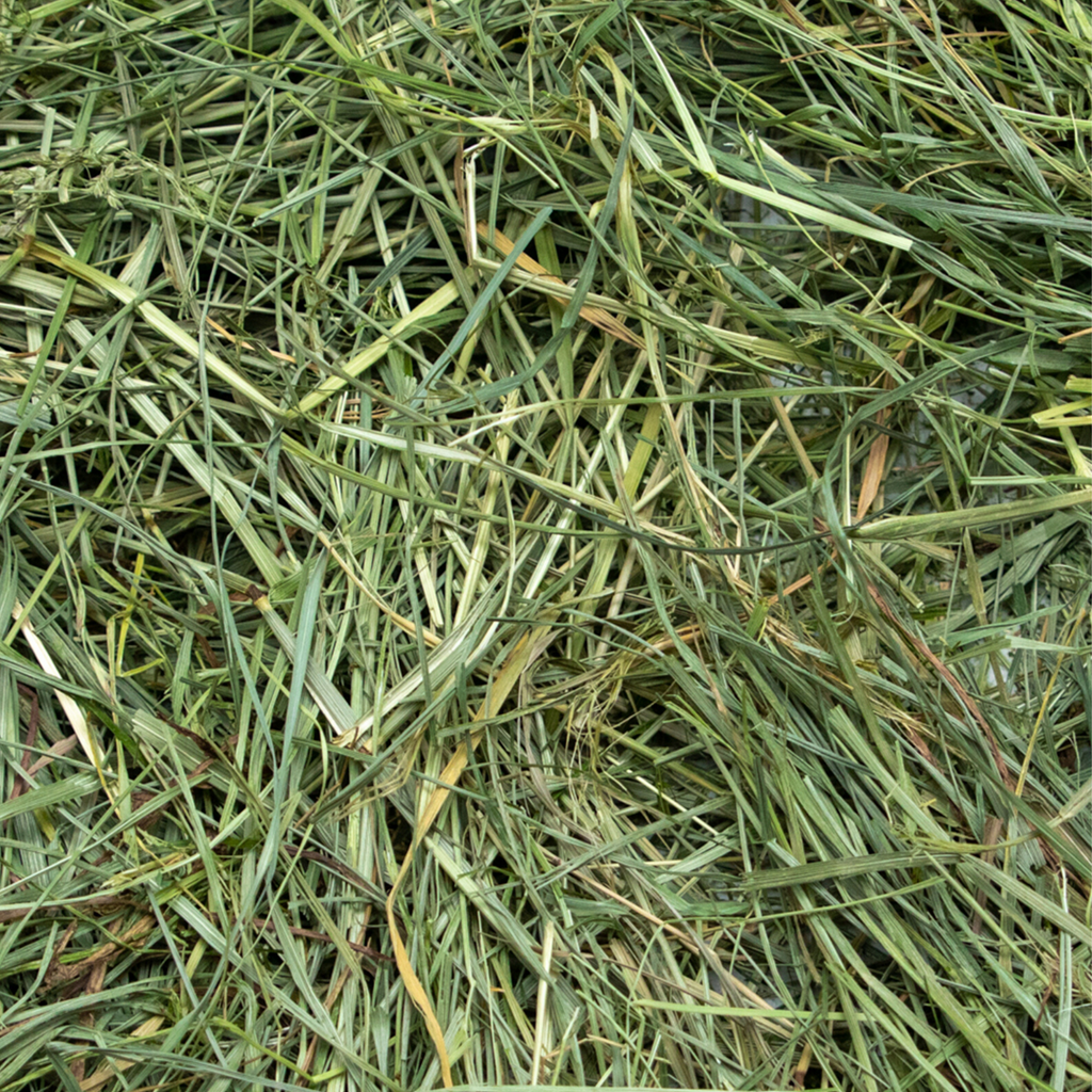 Mountain Grass Hay product image 3