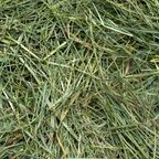Mountain Grass Hay product image 3