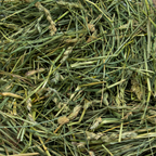 Coarse Orchard Grass Hay product image 3