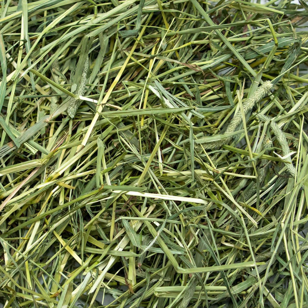 Coarse Timothy Hay product image 3