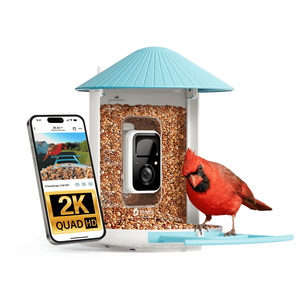 Smart Bird Feeder product image 14