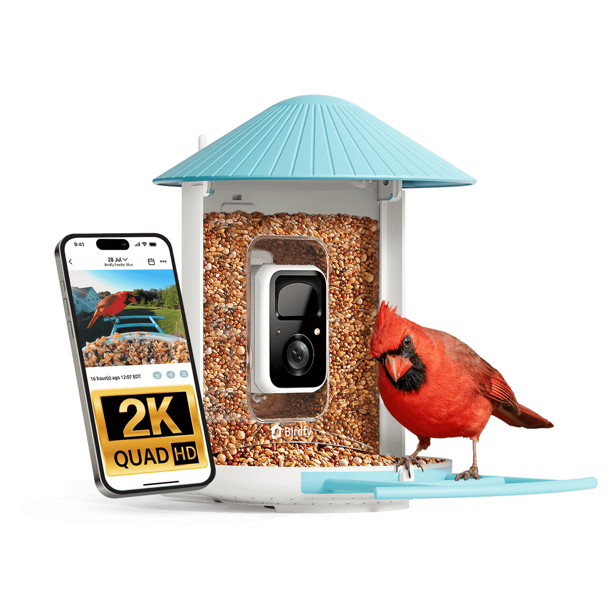Smart Bird Feeder product image 14