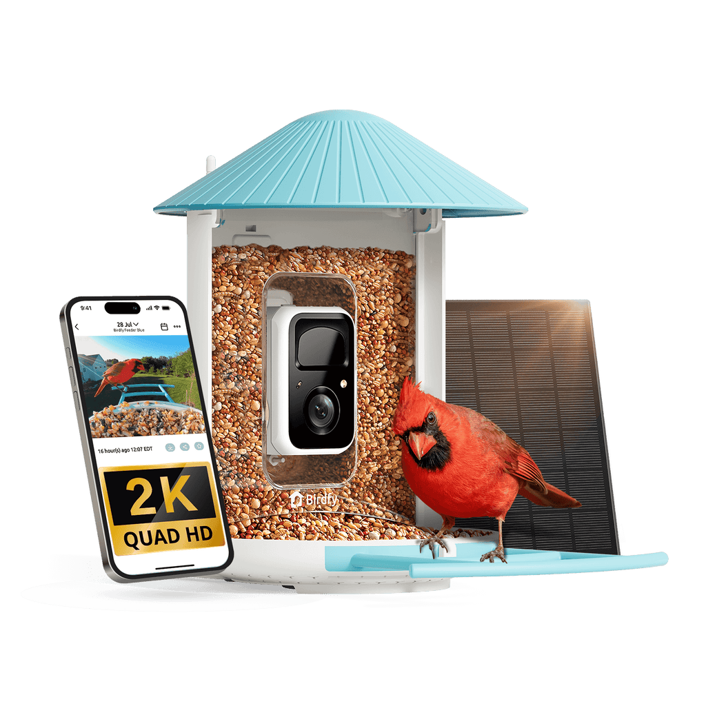 Smart Bird Feeder product image 16