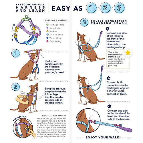 No-Pull Dog Harness product image 7
