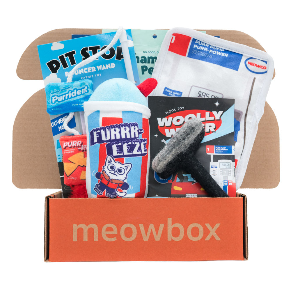 Cat Enrichment Box product image 1