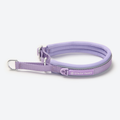Martingale Dog Collar product image 1