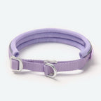 Martingale Dog Collar product image 2