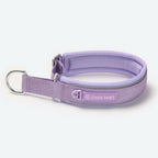 Martingale Dog Collar product image 6