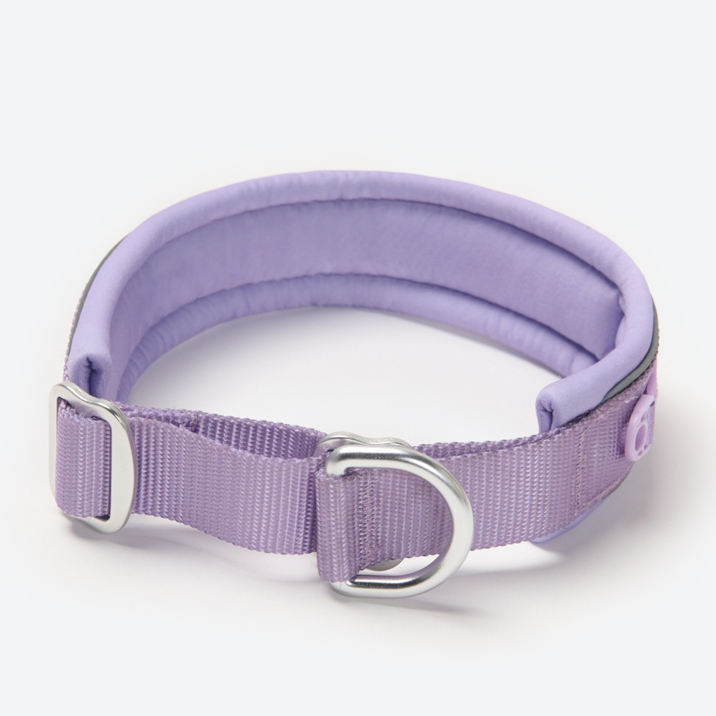 Martingale Dog Collar product image 7