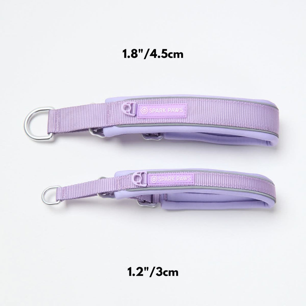 Martingale Dog Collar product image 12