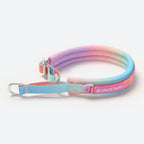 Dog Collars product image 1