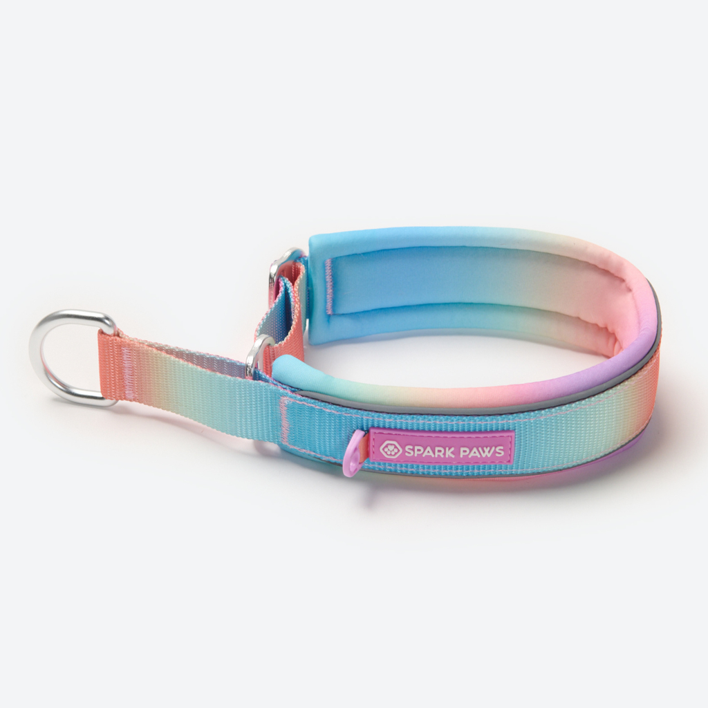 Dog Collars product image 6