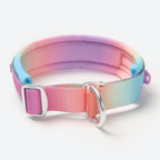 Dog Collars product image 7