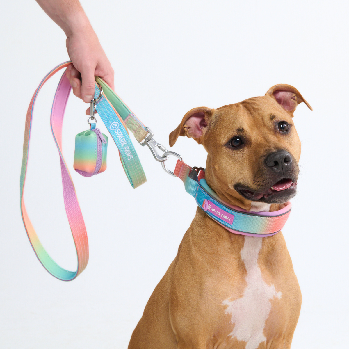 Dog Collars product image 10