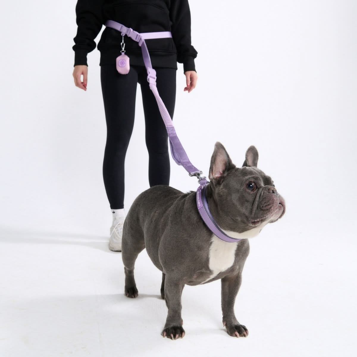 Hands-Free Dog Leash product image 2
