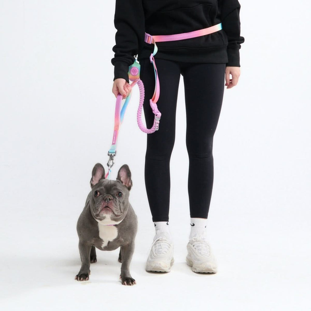 Hands-Free Dog Leash product image 2