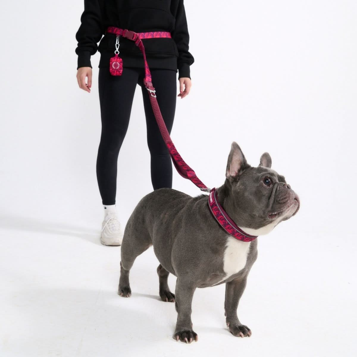 Dog Leash product image 2