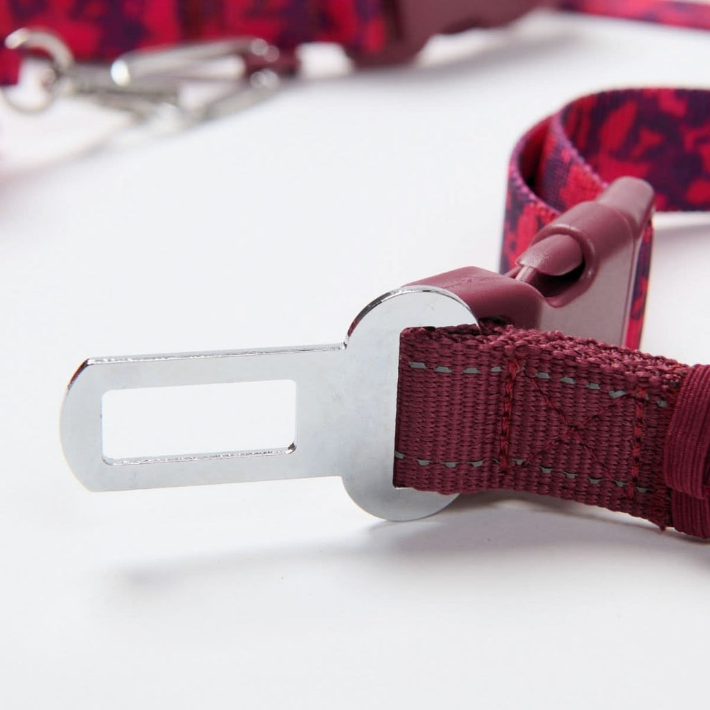 Dog Leash product image 4