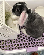 Rabbit Feeder Clips product image 7